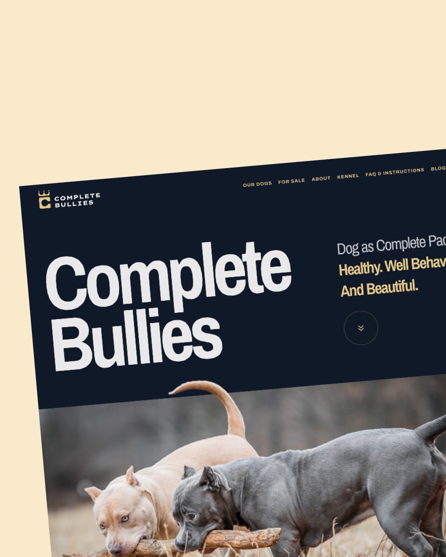Complete Bullies - Gaupi portfolio