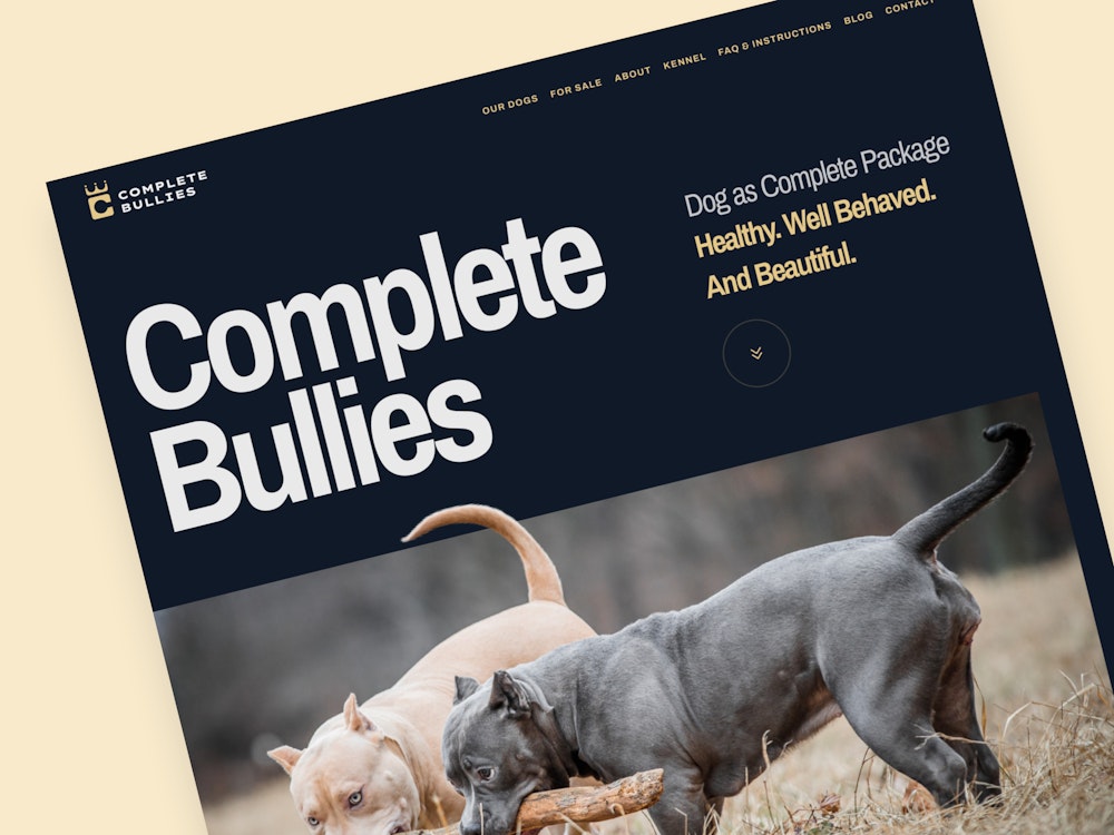 Nové webové stránky pro Complete Bullies